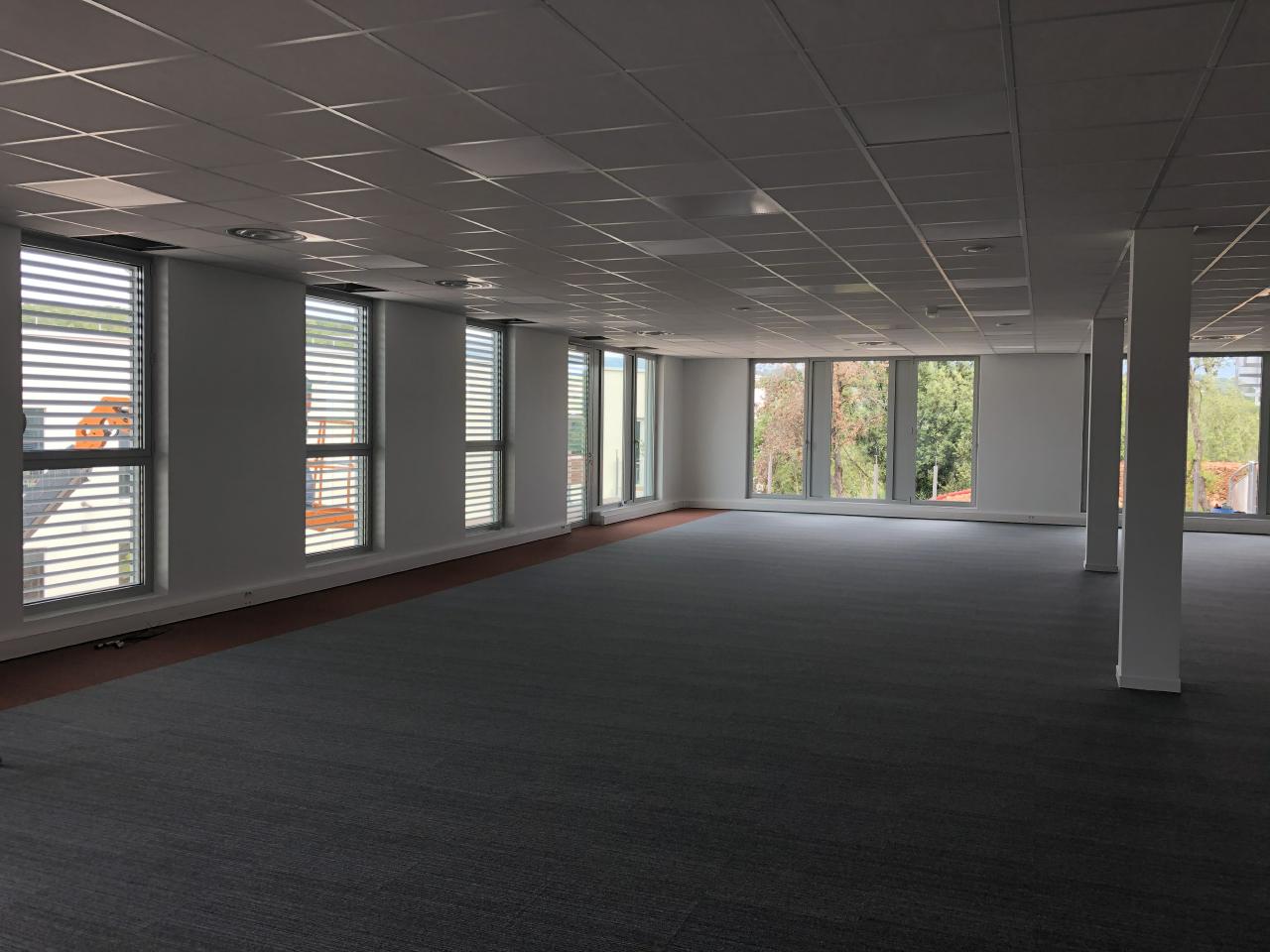Bureau Biot 330m² Location bureau Biot Alpes-Maritimes OLBUR2530464 8
